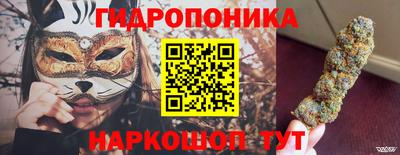 прущие крисы Гусев