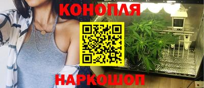 прущие крисы Гусев