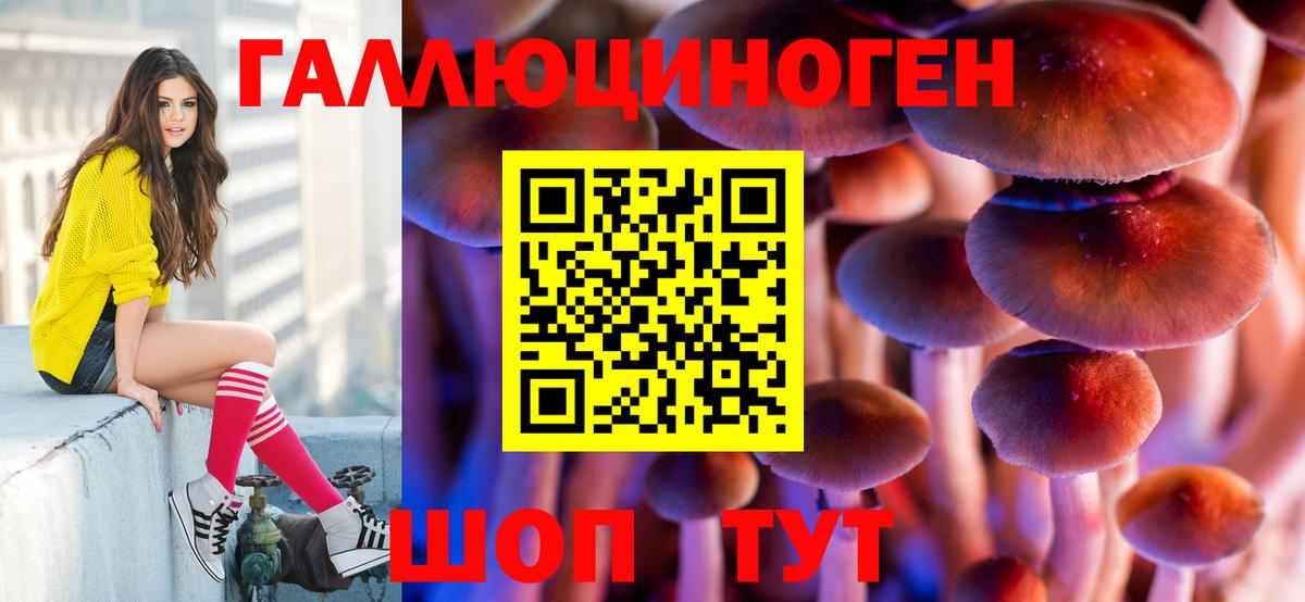 Псилоцибиновые грибы Cubensis Люберцы